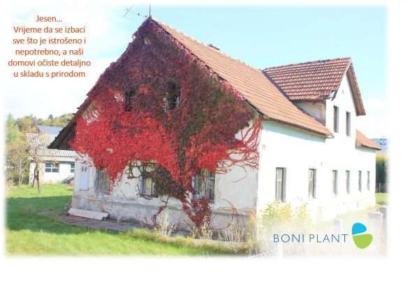 Jesen.... Kuća u skladu s prirodom -  Boni Plant